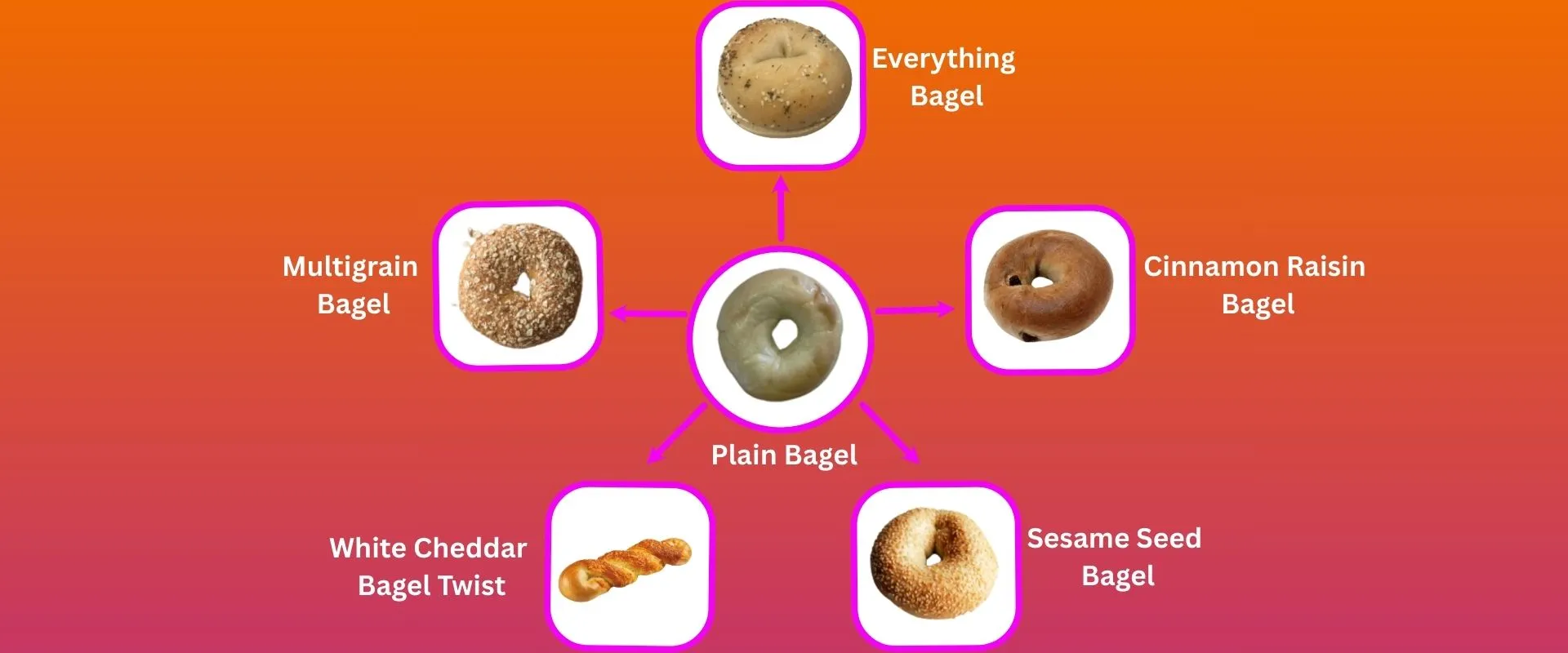 Dunkin Donuts Menu With Prices 2026 | Complete Dunkin Food & Drink Menu 20 Dunkin Donuts Bagel Menu